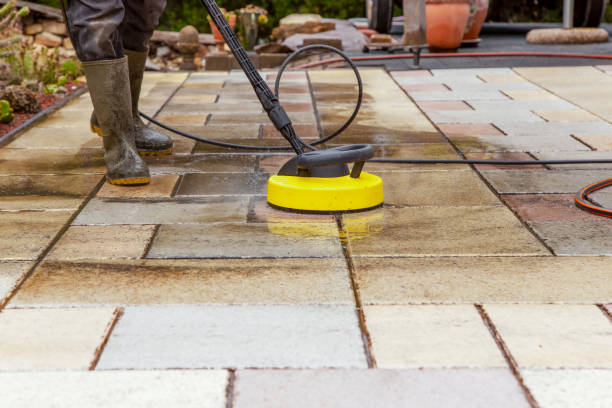 Best Animal Enclosure Cleaning  in Norman, OK